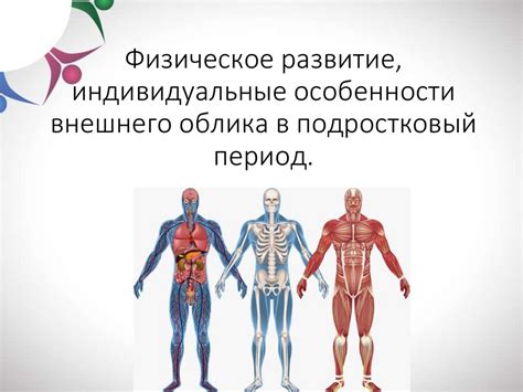 Особенности внешнего облика транспортного средства