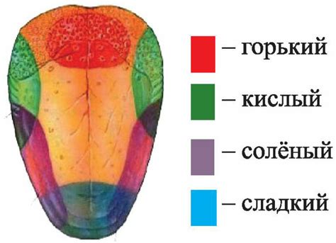 Особенности восприятия непривычных и странных вкусов