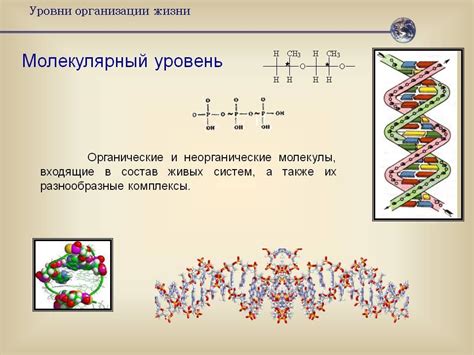 Особенности декомпозиции на молекулярном уровне