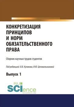 Особенности индивидуальной природы принципов и норм правопорядка