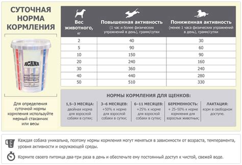 Особенности использования сухого рациона для маленьких псов в возрасте 21 дня