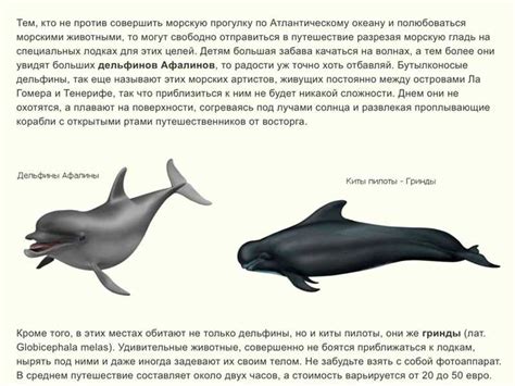 Особенности и места обитания загадочных морских обитателей