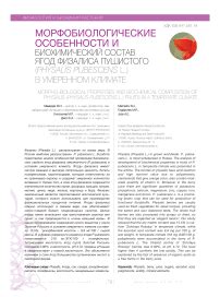 Особенности и назначение пушистого зерна в слащавом соке