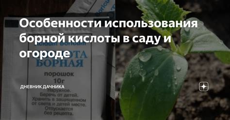 Особенности и ограничения использования порошковой формы борной кислоты