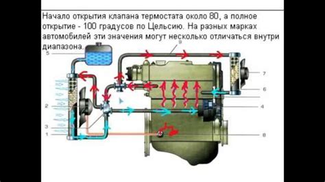 Особенности и структура резервуара для расширения жидкости в системе охлаждения