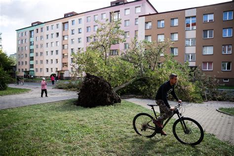 Особенности недостатка воды в окрестностях городских территорий