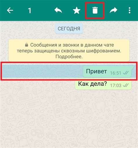 Особенности нового типа сообщения в WhatsApp