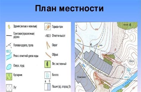 Особенности окружающей местности вблизи улицы с рябинами