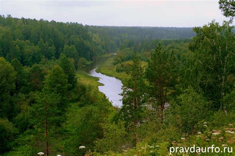 Особенности оленьих ручьев: великолепие и свежая вода