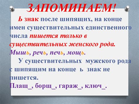 Особенности орфографии существительных с ь после шипящих