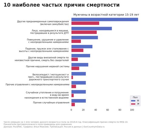 Особенности питания кинзой в зависимости от возраста и состояния кролика