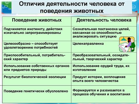 Особенности поведения и активности голема: анализ и рекомендации