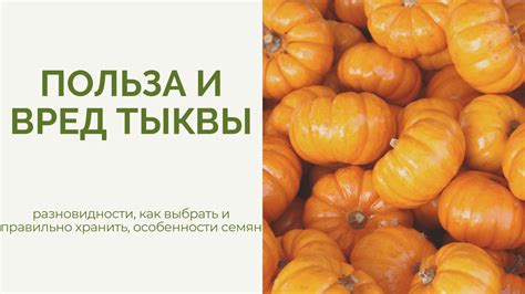 Особенности подготовки и предоставления тыквы и кабачков для употребления поросятами