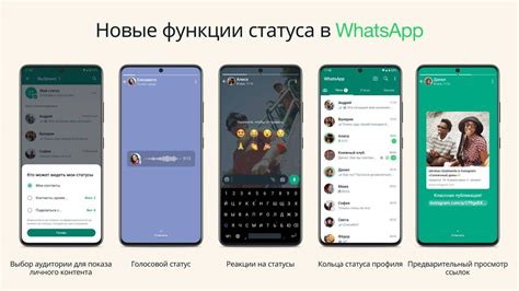 Особенности показа статуса разблокировки в WhatsApp