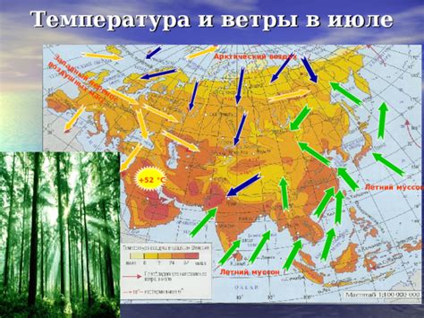 Особенности пребывания ужей в центральных широтах: особое жилище и периодические путешествия