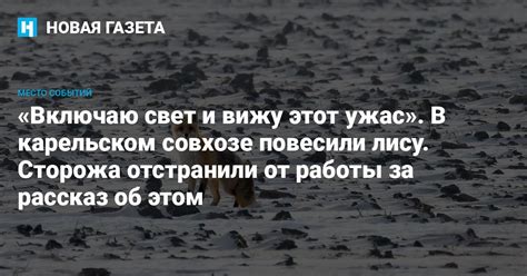 Особенности работы ночного и выходного сторожа