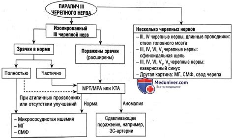 Особенности работы пятого черепного нерва и его взаимодействие с другими структурами