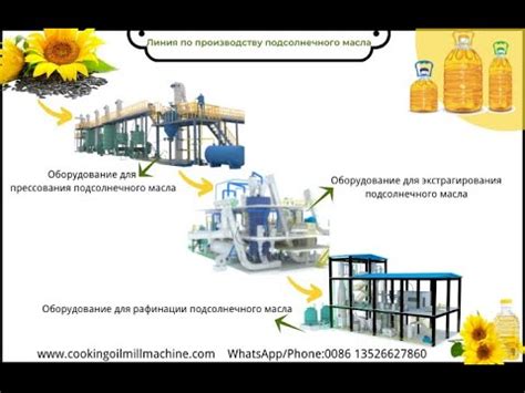 Особенности развития сектора производства подсолнечного масла в Уральском федеральном округе