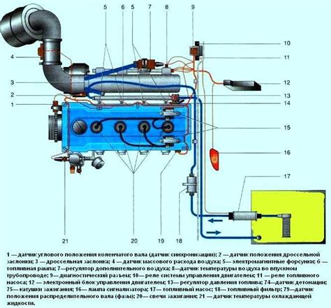 Особенности размещения датчиков на разных моделях ГАЗели