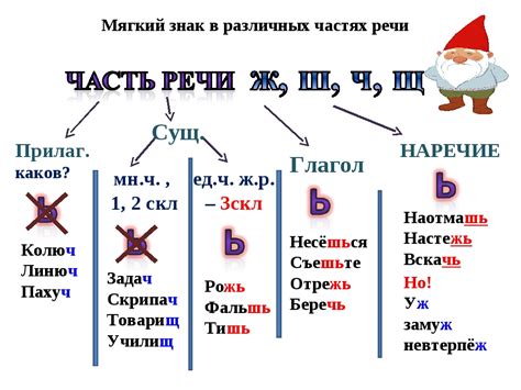 Особенности расположения буквы ь после шипящих в русском языке