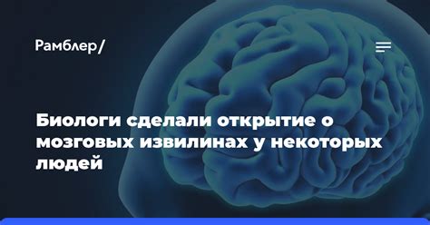 Особенности расположения мозговых центров речи у людей, предпочитающих использовать правую руку