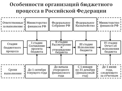 Особенности распространения и процесса роста хурмы в Российской Федерации