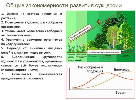 Особенности растения подтопольник: место обитания, структура и важность в экосистеме