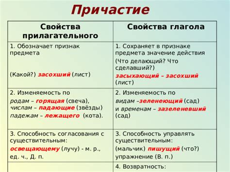 Особенности согласования форм прилагательного и причастия