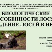 Особенности содержания и разведения лосей на специализированных угодьях