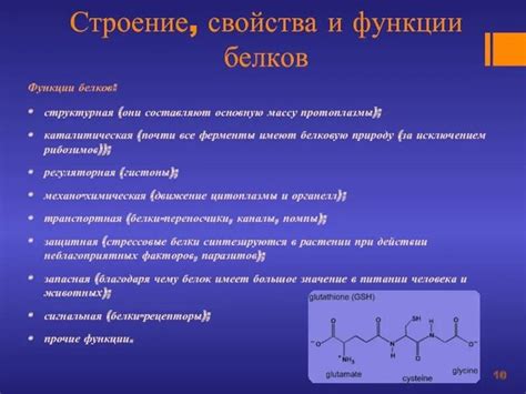 Особенности состава и структуры литола и литиевой смазки