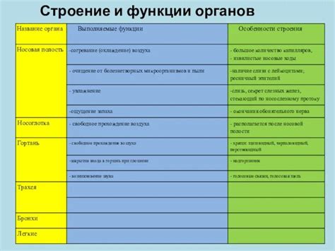 Особенности строения и функции женского репродуктивного органа