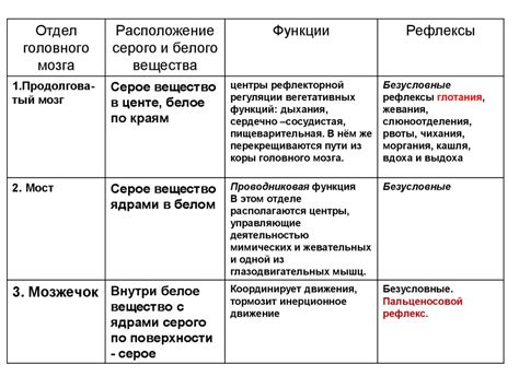 Особенности структуры и развития головного сферы у младенцев