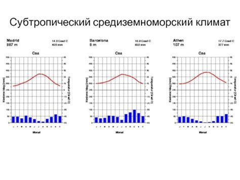 Особенности субтропического климата: влажность и тёплые зимы