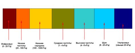 Особенности частоты звуковых колебаний