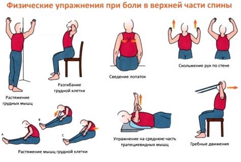 Остеохондроз - основной фактор протяжной боли, распространяющейся от ягодиц до колена