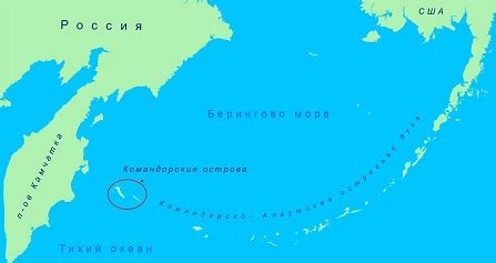 Острова, утопающие в безмолвии: Командорский архипелаг