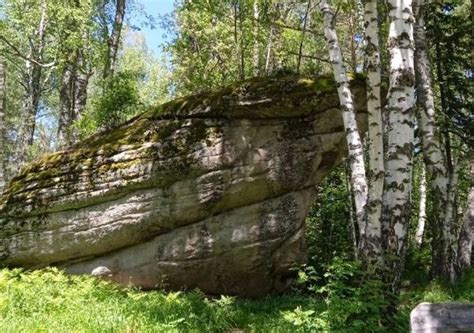 Острова-резерваты вологодских краев: приключения среди уникальной растительности и животного мира