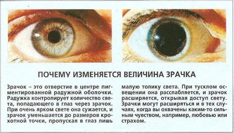Ответное зеркало: воздействие психологического состояния на позитивный образ ног
