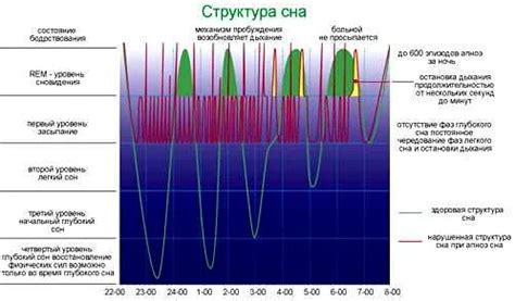 Отдаленная память и затухание лингвистических навыков во время глубокого сна