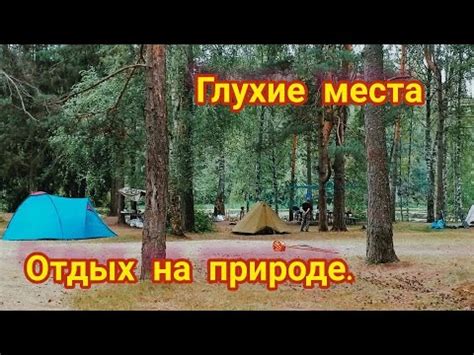 Отдых на природе в кругу близких: организация пикника