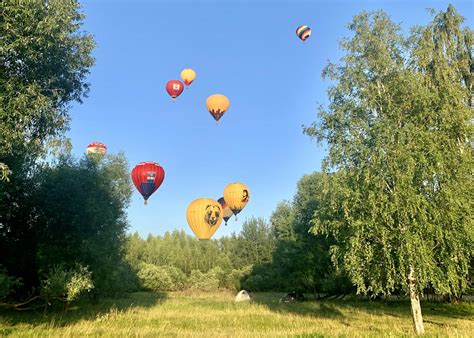 Отзывы клиентов о предоставляемых услугах по надуванию воздушных шаров в Гомеле