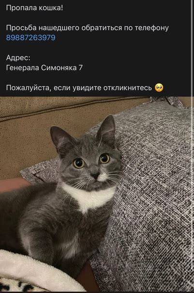 Откликнитесь мгновенно!