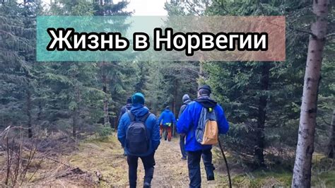 Откройте для себя путь к встрече с ледяным волшебником в захолустном уголке Лиянского источника