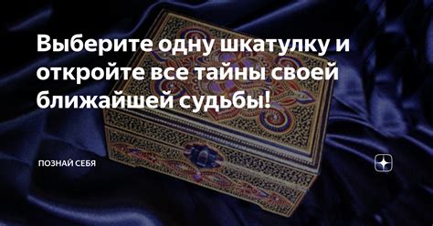 Откройте для себя скрытые тайны поиска важной информации в популярном приложении