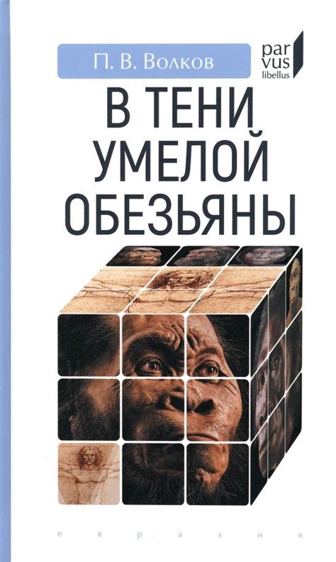 Открывая тайны прошлого: великие открытия археологии