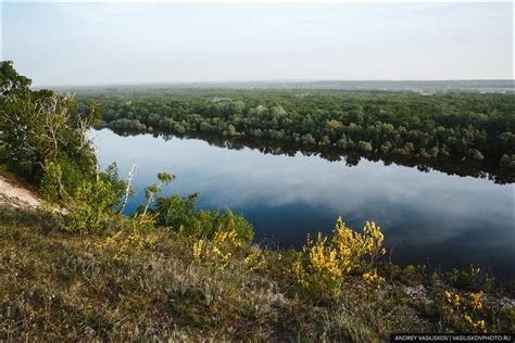 Открытие уникальной области: секретное место с грибным ландшафтом