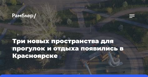 Открытые пространства для прогулок с верными друзьями