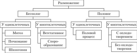 Открытые районы моря: миграционные особенности и способы размножения мидий