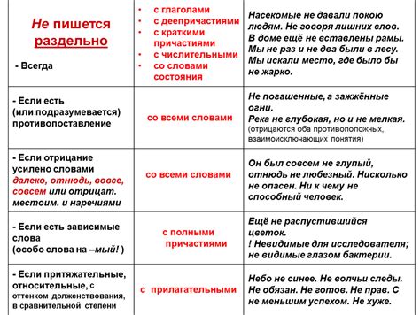 Отличительные особенности частиц "не" и "ни" в употреблении в предложениях