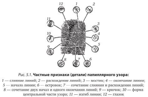 Отслеживание: места и методы обнаружения следов загадочного сообщества